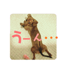 桃ちスタンプ2（個別スタンプ：30）