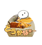 桃ちスタンプ2（個別スタンプ：31）