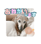 桃ちスタンプ2（個別スタンプ：34）