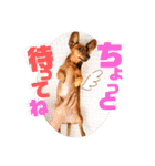 桃ちスタンプ2（個別スタンプ：35）