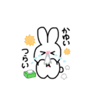 むかつくうさぎ2（個別スタンプ：19）