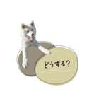 ♡SHIORI様（個別スタンプ：4）