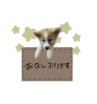 ♡SHIORI様（個別スタンプ：13）