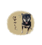 ♡SHIORI様（個別スタンプ：14）