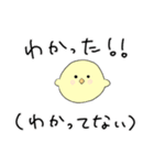 限界大学生のひよこスタンプ（個別スタンプ：19）
