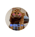 kiyotawanatu（個別スタンプ：1）