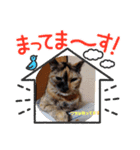 kiyotawanatu（個別スタンプ：2）