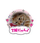 kiyotawanatu（個別スタンプ：4）