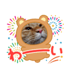 kiyotawanatu（個別スタンプ：6）