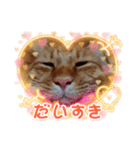 kiyotawanatu（個別スタンプ：7）