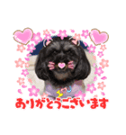 うちの仔スタンプPart②（個別スタンプ：8）
