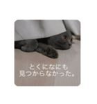 ブリショーの勇者スタンプ（個別スタンプ：15）
