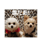 LUNA＆SEAです！！寒む寒む寒む～雪だあ！！（個別スタンプ：2）