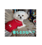 LUNA＆SEAです！！寒む寒む寒む～雪だあ！！（個別スタンプ：3）