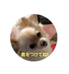 LUNA＆SEAです！！寒む寒む寒む～雪だあ！！（個別スタンプ：4）