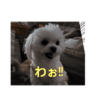 LUNA＆SEAです！！寒む寒む寒む～雪だあ！！（個別スタンプ：5）