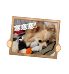 LUNA＆SEAです！！寒む寒む寒む～雪だあ！！（個別スタンプ：6）