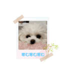 LUNA＆SEAです！！寒む寒む寒む～雪だあ！！（個別スタンプ：7）