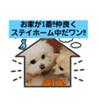 LUNA＆SEAです！！寒む寒む寒む～雪だあ！！（個別スタンプ：8）