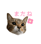 komachi_02（個別スタンプ：24）