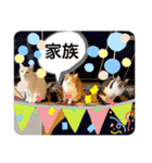 めろんちゃんの小言スタンプ（個別スタンプ：1）