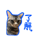 陸とあずき（個別スタンプ：6）