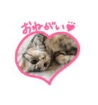 陸とあずき（個別スタンプ：10）