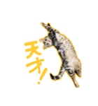陸とあずき（個別スタンプ：15）