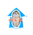 陸とあずき（個別スタンプ：22）