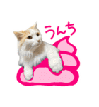 陸とあずき（個別スタンプ：25）