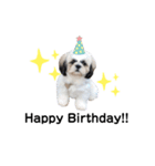 むくすたんぷ。（個別スタンプ：30）