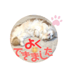 メルとジュアンのスタンプ（個別スタンプ：4）
