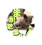 メルとジュアンのスタンプ（個別スタンプ：8）