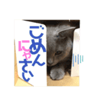 メルとジュアンのスタンプ（個別スタンプ：12）
