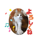メルとジュアンのスタンプ（個別スタンプ：15）