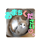 メルとジュアンのスタンプ（個別スタンプ：21）