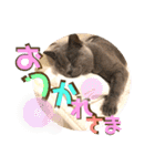 メルとジュアンのスタンプ（個別スタンプ：23）