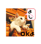 元気なこうめくん（個別スタンプ：1）