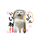元気なこうめくん（個別スタンプ：2）