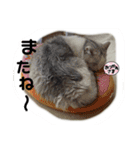 元気なこうめくん（個別スタンプ：4）