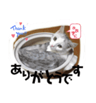 元気なこうめくん（個別スタンプ：5）