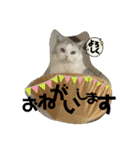 元気なこうめくん（個別スタンプ：6）