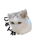 元気なこうめくん（個別スタンプ：7）