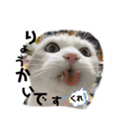 元気なこうめくん（個別スタンプ：8）