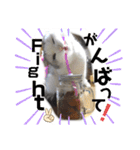 元気なこうめくん（個別スタンプ：9）