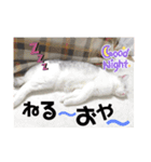 元気なこうめくん（個別スタンプ：10）