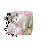 元気なこうめくん（個別スタンプ：11）