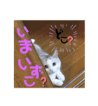 元気なこうめくん（個別スタンプ：13）