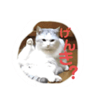 元気なこうめくん（個別スタンプ：14）