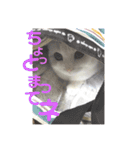 元気なこうめくん（個別スタンプ：15）